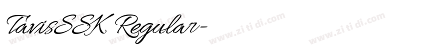 TavisSSK Regular字体转换 TavisSSK Regular字体转换